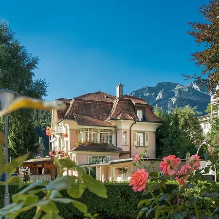 Hotel Swiss & 3*