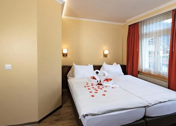 Hotel Swiss & 3*