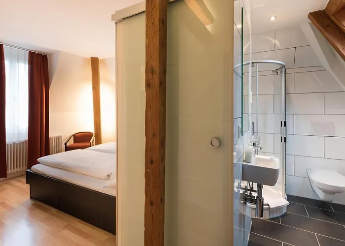 Swiss & Hotel 3*